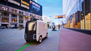 Autonomous Parcel Delivery Robots in an Urban Community in Singapore
